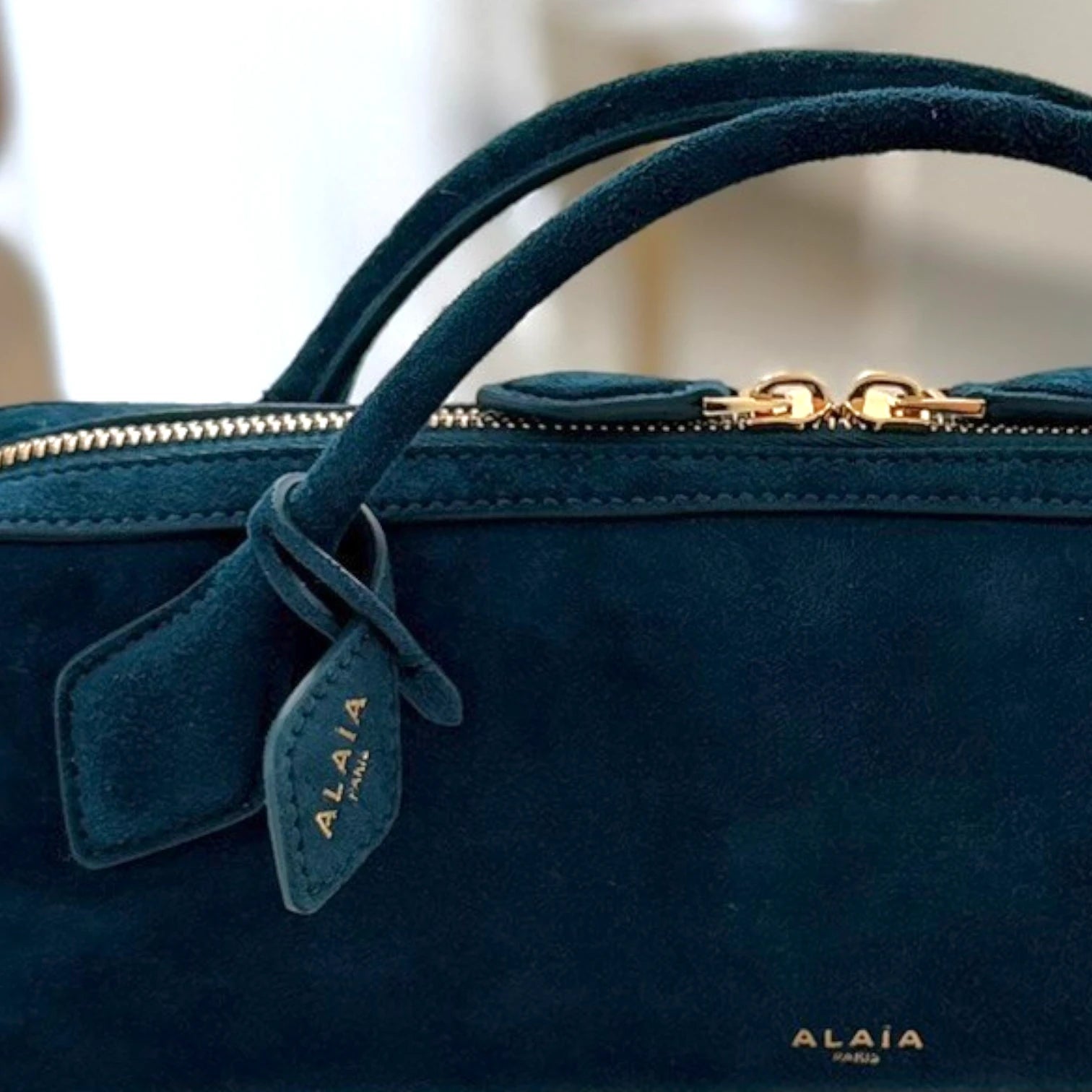 Alaïa  | Le Teckel tote bag