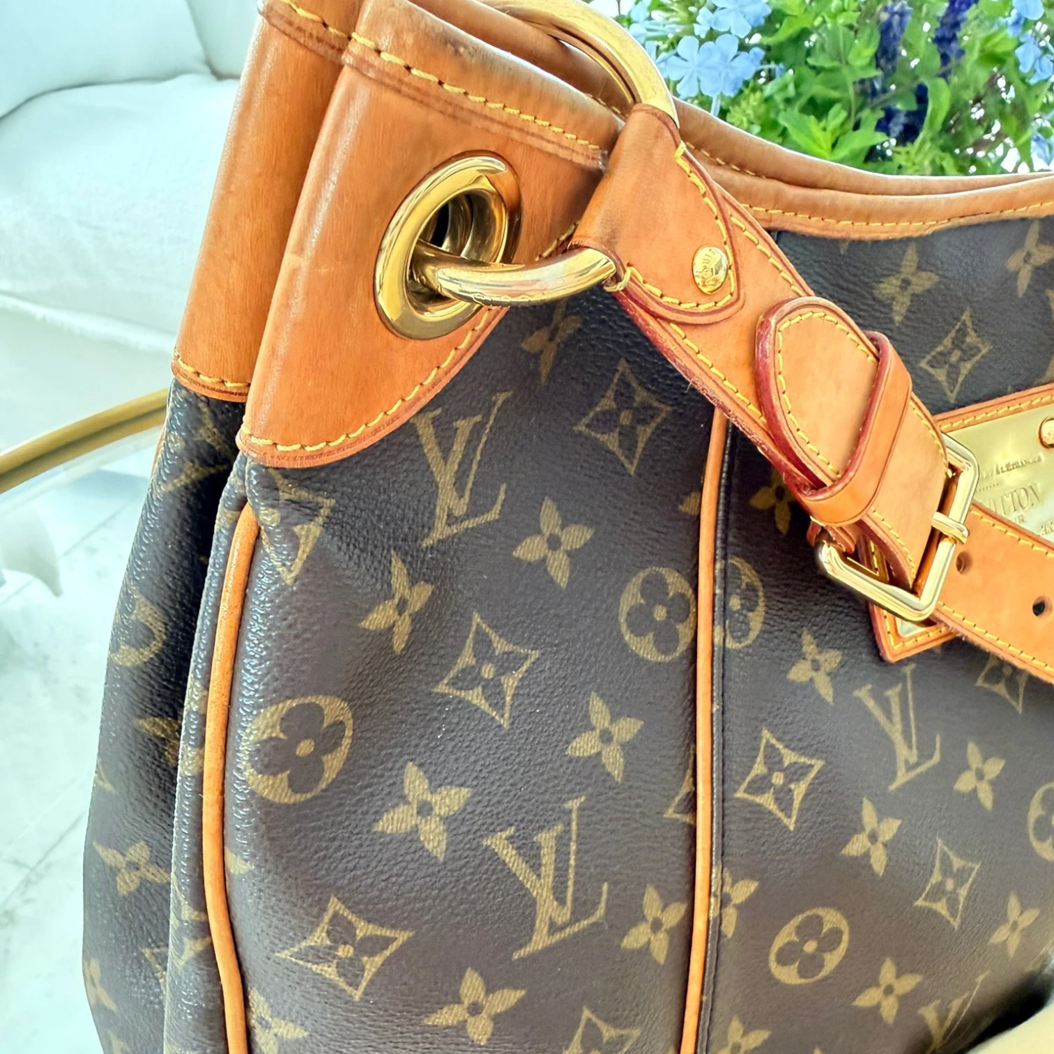 Detailed shot: Louis Vuitton Galliera PM Monogram tote bag available in Cyprus